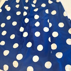 J. Crew Blue and White Polka Dot Midi Skirt